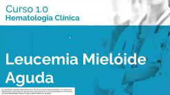 Leucemia Mielóide Aguda