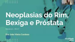 Neoplasias do rim, bexiga e próstata